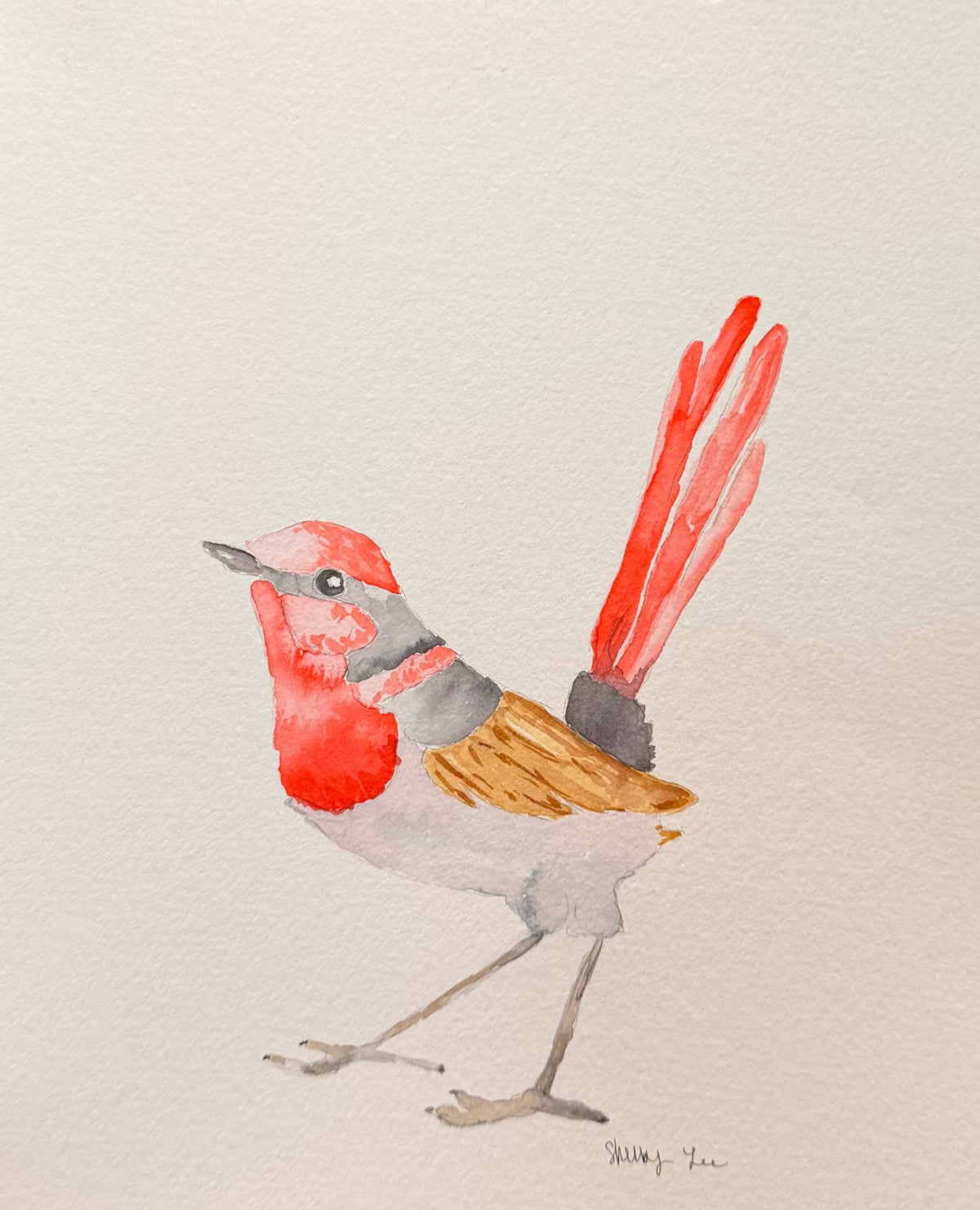 A hand with glittery purple nails holds a white art print featuring a watercolor illustration of a bird with a red chest, gray wings, and a bright red tail, against a dark gray curtain background.