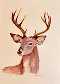 Buck Watercolor Painting | Deer Wall Art - shelby nicole