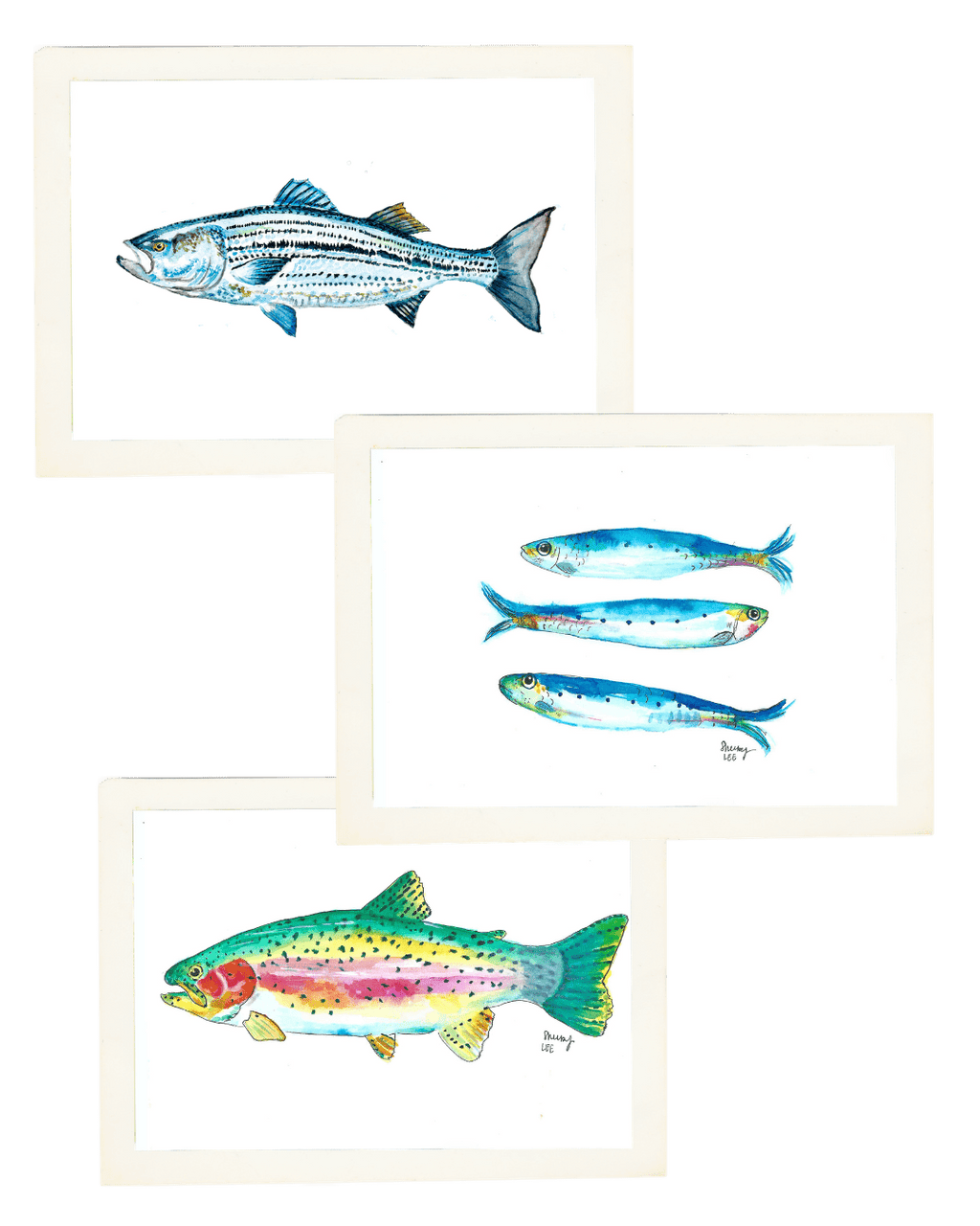 Fish Tale Trio | Rainbow Trout, Striped Bass & Sardine Standard Print Set - shelby nicole