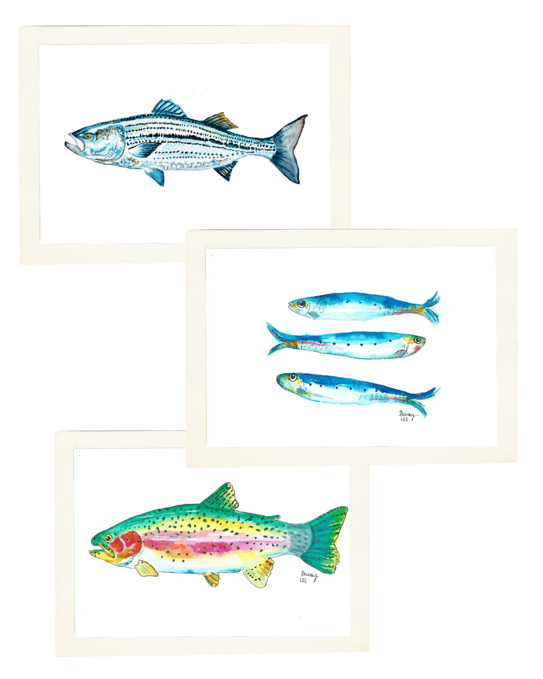 Fish Tale Trio | Rainbow Trout, Striped Bass & Sardine Standard Print Set - shelby nicole