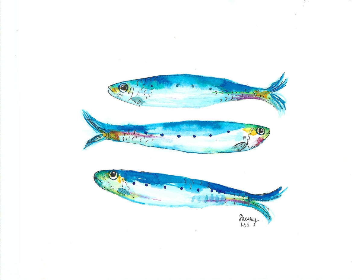 Fish Tale Trio | Rainbow Trout, Striped Bass & Sardine Standard Print Set - shelby nicole