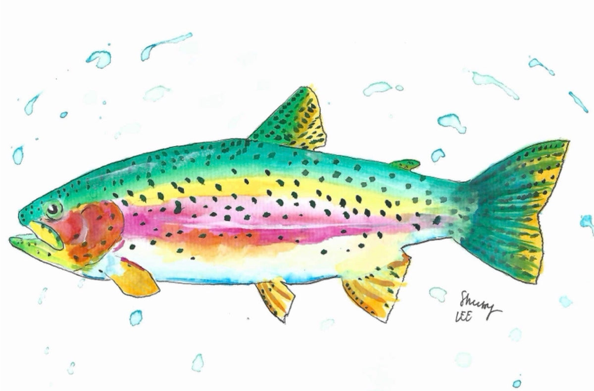 Splashing Rainbow Trout Watercolor Painting | Fish Wall Art - shelby nicole
