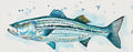Striped Bass Watercolor Print — Fish Wall Art - shelby nicole